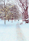 Christmas Cards Design ~ Walk in the Park