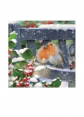 Christmas Cards Design ~ Robins on Bench