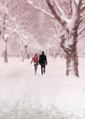 Christmas Cards Design ~ Snowy Lights