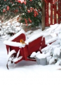 Christmas Cards Design ~ Robin on Wheelbarrow