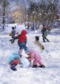Christmas Cards Design ~ Snowballing
