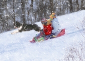 Christmas Cards Design ~ Winter Fun