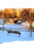 Christmas Cards Design ~ Winter Wonderland